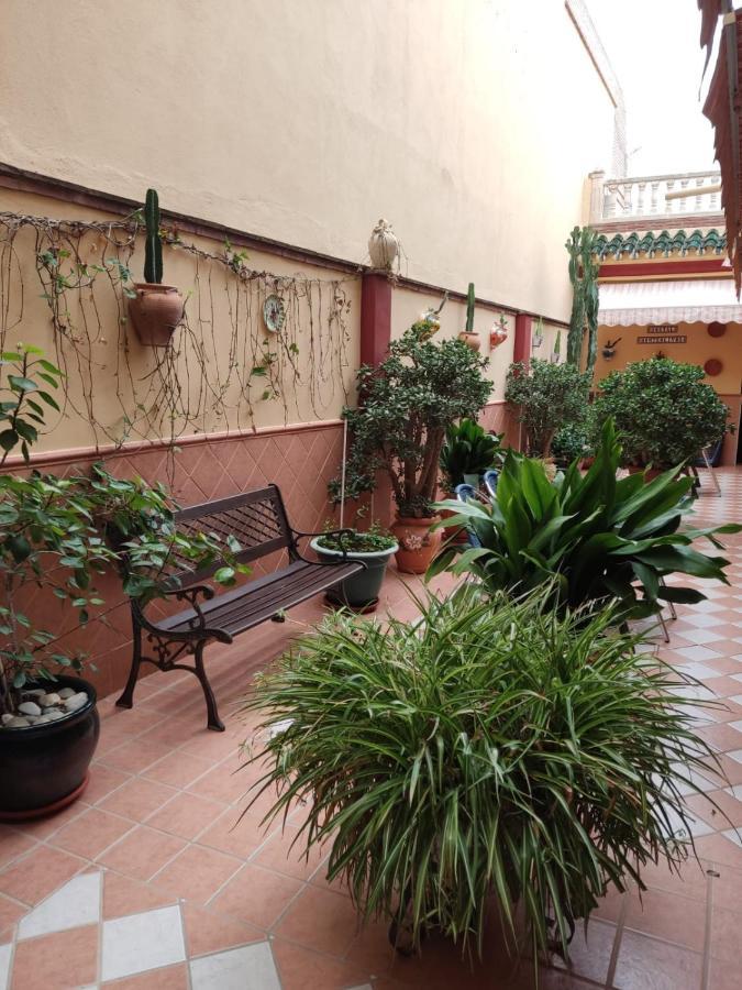 Hostal Monteolivos Cártama Εξωτερικό φωτογραφία